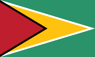 圭亚那国旗